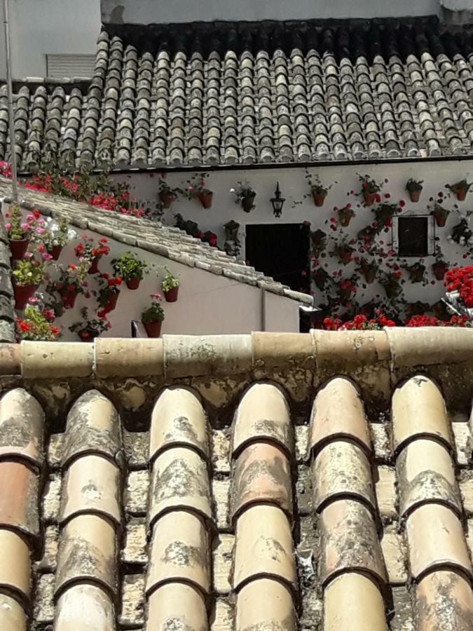 Los Tejares Del Alcazar Cordoba Dış mekan fotoğraf