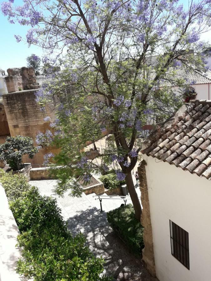 Los Tejares Del Alcazar Cordoba Dış mekan fotoğraf